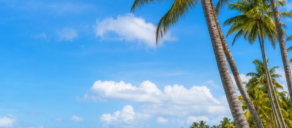 Migliori hotel e resort a Punta Cana: Guida alla Scelta Perfetta