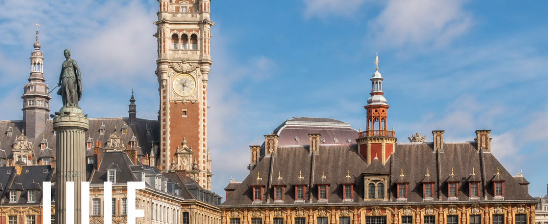 Noleggio auto e transfer a Lille: Guida Pratica