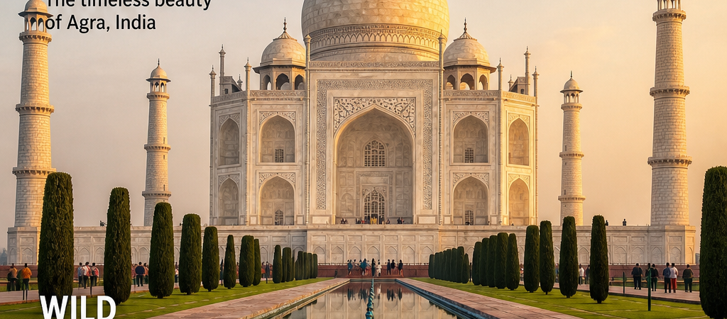 Tour e biglietti per il Taj Mahal