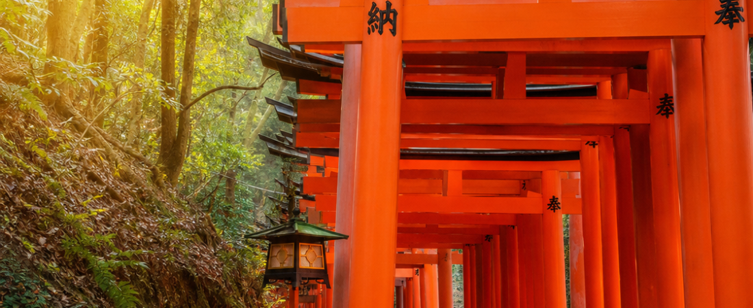 Tour e biglietti per il Santuario di Fushimi Inari