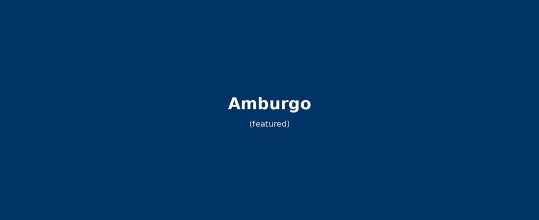 Amburgo in solitaria: guida senza auto tra porto, musei e UNESCO