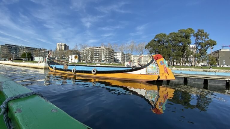 Aveiro in solitaria senza auto: cosa fare davvero