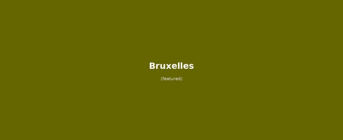Bruxelles in solitaria: arrivo in treno, Grand Place, Atomium, moules-frites, birra belga e waffle — guida senza auto