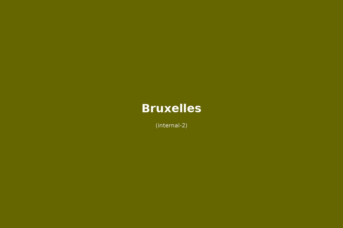 Solo travel a Bruxelles: Guida Completa per Viaggiatori Soli