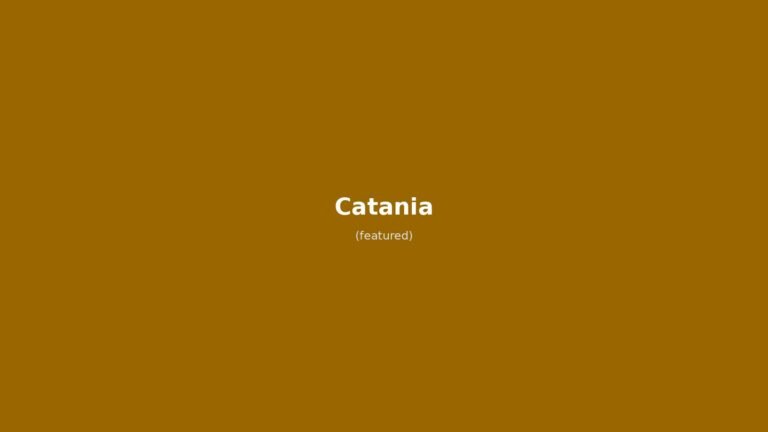 Catania in solitaria: guida completa tra Etna, barocco e street food siciliano