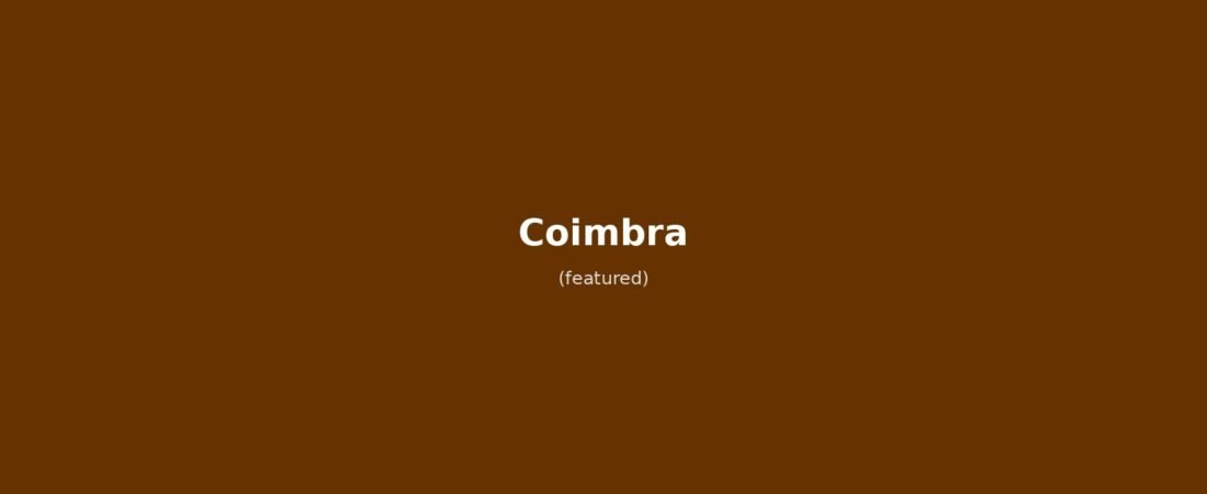 Coimbra in Solitaria: Guida per un Viaggio tra Storia, Cultura e Fado