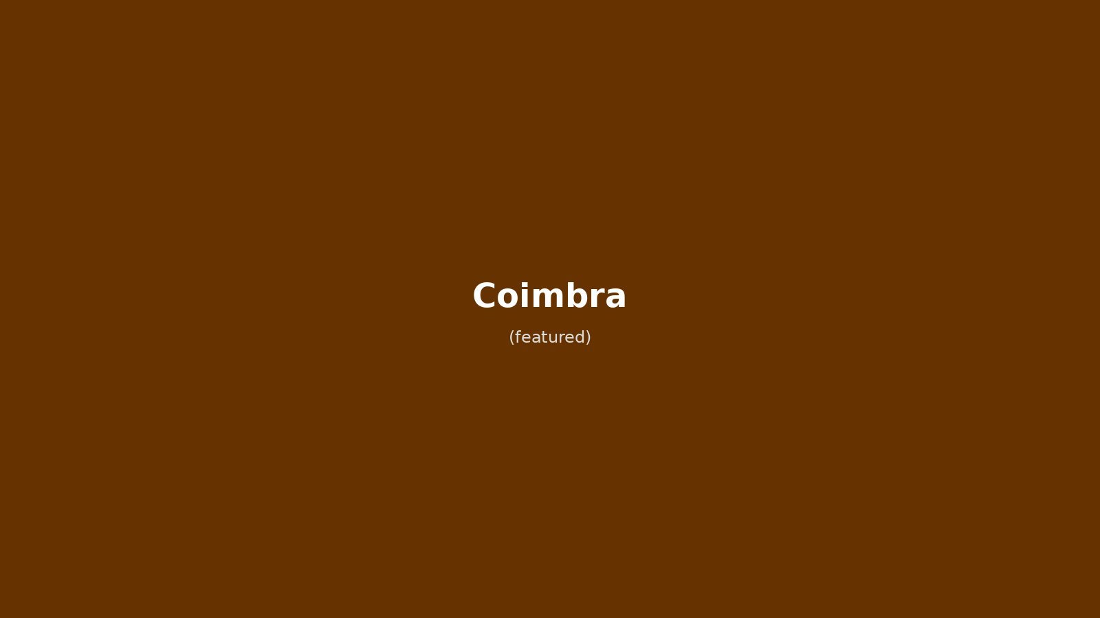 Coimbra in Solitaria: Guida per un Viaggio tra Storia, Cultura e Fado