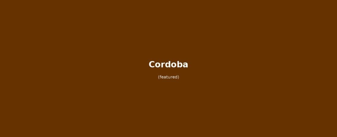 Cordoba in solitaria: Mezquita-Catedral, Judería e patios fioriti — guida senza auto