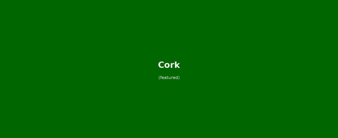 Cork in solitaria: guida senza auto tra English Market, Shandon Bells e Blarney Castle
