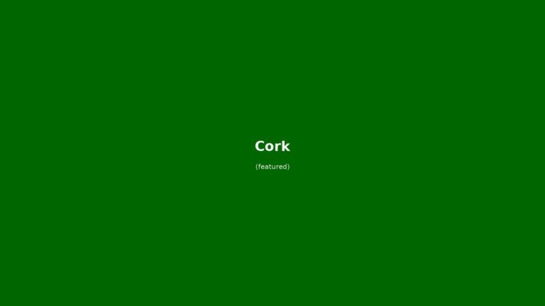 Cork in solitaria: guida senza auto tra English Market, Shandon Bells e Blarney Castle