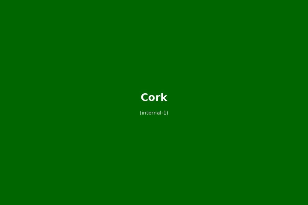 Shandon Bells Cork