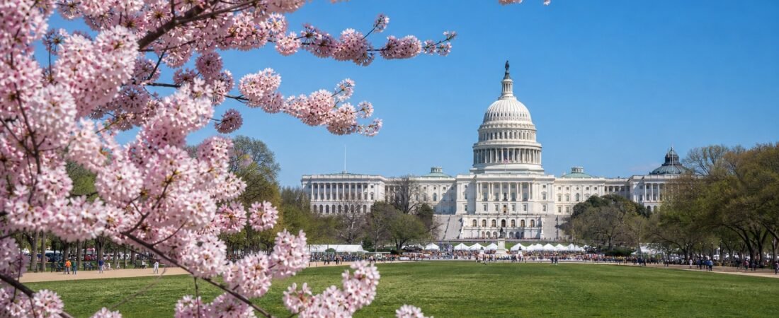 Weekend a Washington DC: tra musei gratuiti e politica