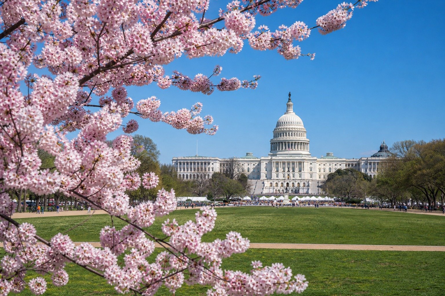 Weekend a Washington DC: tra musei gratuiti e politica
