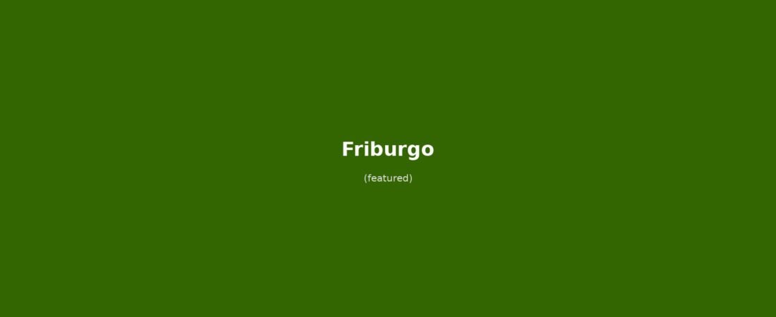 Friburgo in solitaria: arrivo in treno, Münster, Bachle e Foresta Nera — guida senza auto per il viaggiatore indipendente