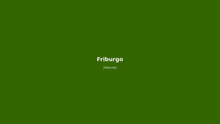 Friburgo in solitaria: arrivo in treno, Münster, Bachle e Foresta Nera — guida senza auto per il viaggiatore indipendente
