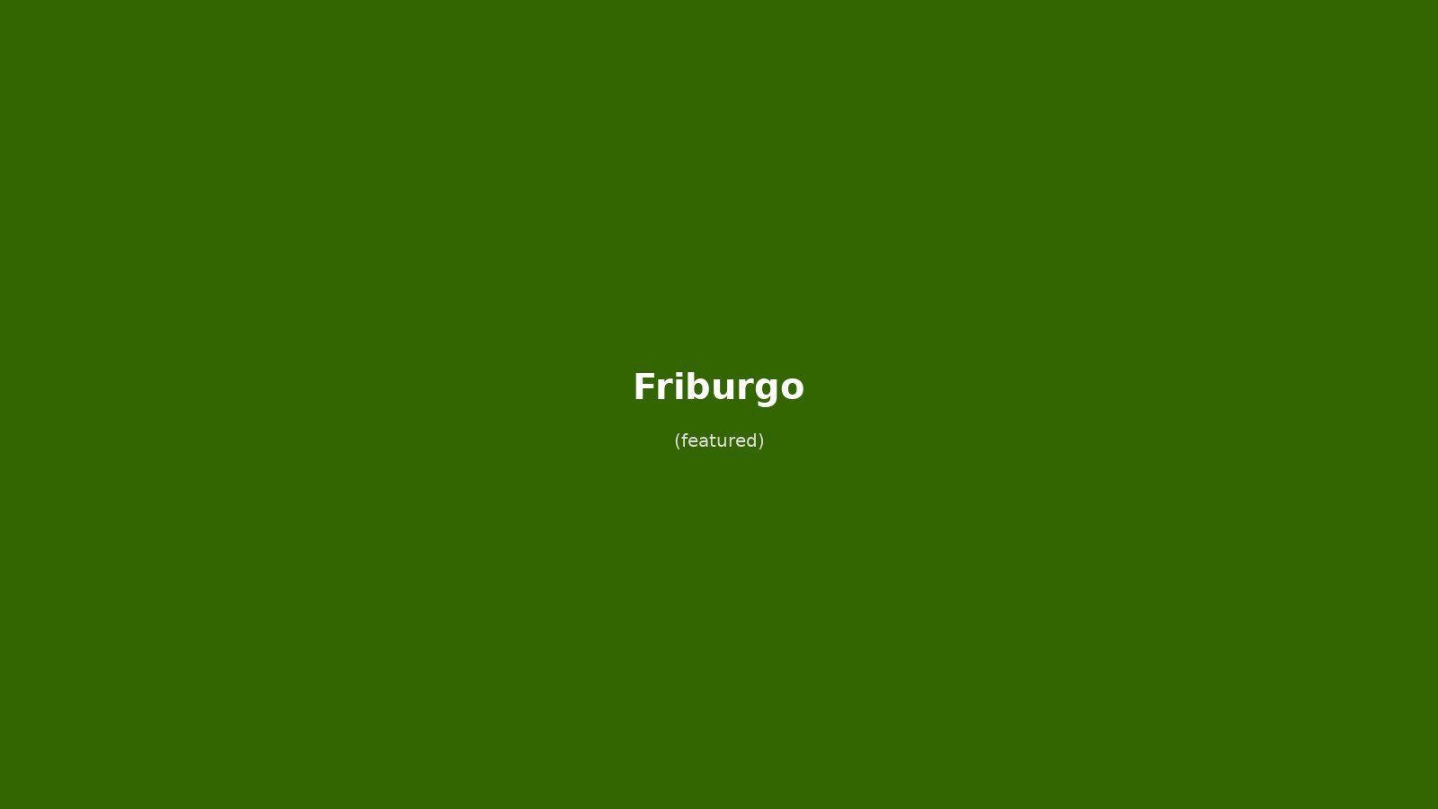 Friburgo in solitaria: arrivo in treno, Münster, Bachle e Foresta Nera — guida senza auto per il viaggiatore indipendente