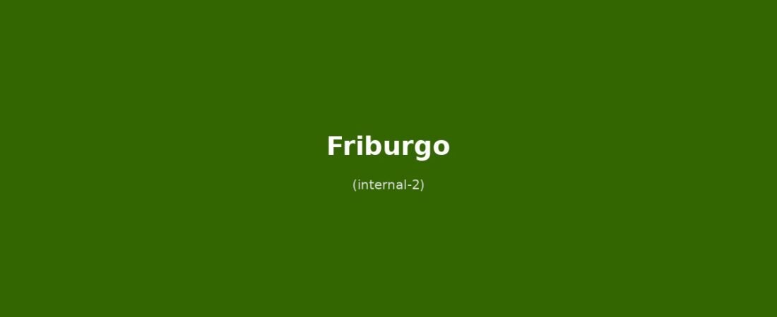 Weekend a Friburgo: la capitale della Foresta Nera