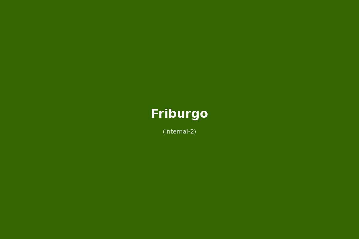 Weekend a Friburgo: la capitale della Foresta Nera