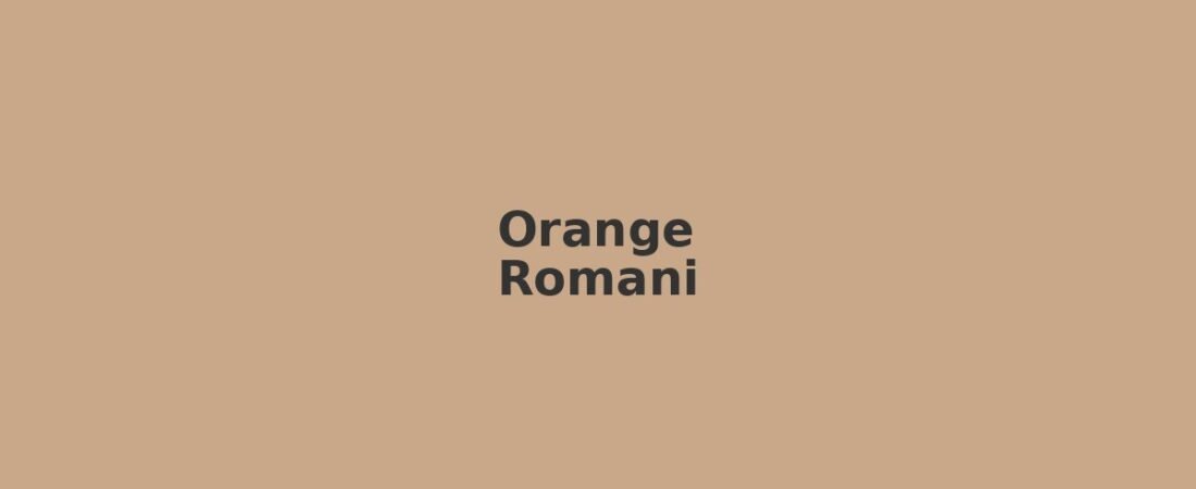 Orange in solitaria: guida senza auto tra teatro romano e Provenza