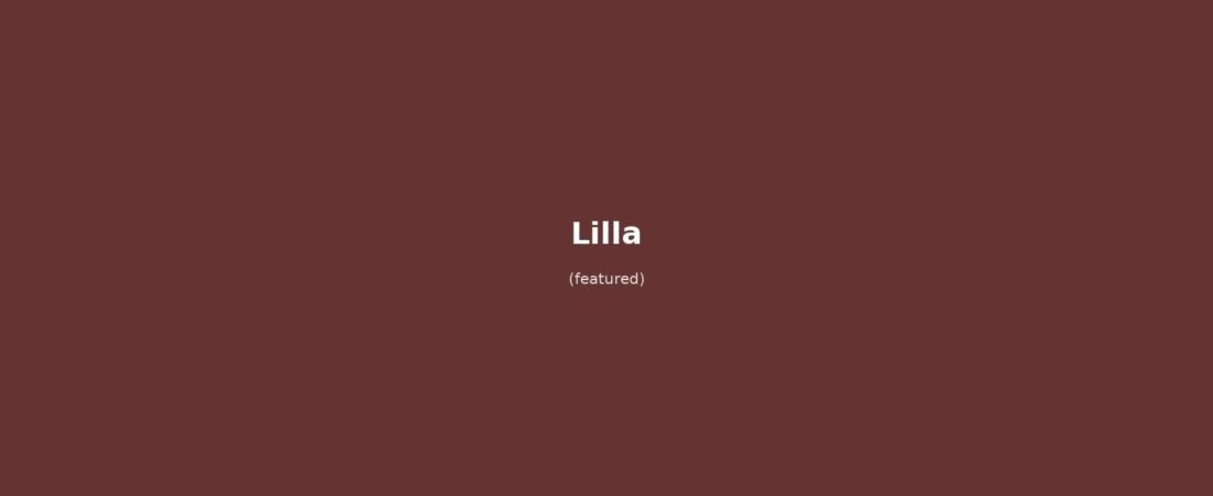 Lilla in solitaria: arrivo in treno Gare de Lille Europe/Flandres, Grand Place, Vieille Bourse, Palais des Beaux-Arts, Citadelle, rue de la Monnaie, carbonade flamande e gaufre — guida senza auto