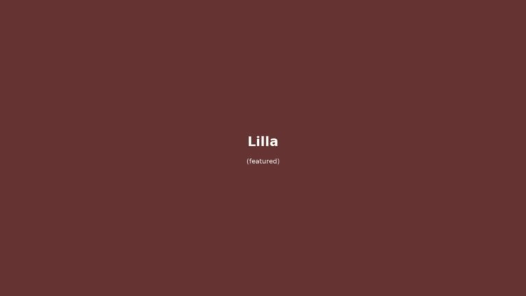 Lilla in solitaria: arrivo in treno Gare de Lille Europe/Flandres, Grand Place, Vieille Bourse, Palais des Beaux-Arts, Citadelle, rue de la Monnaie, carbonade flamande e gaufre — guida senza auto
