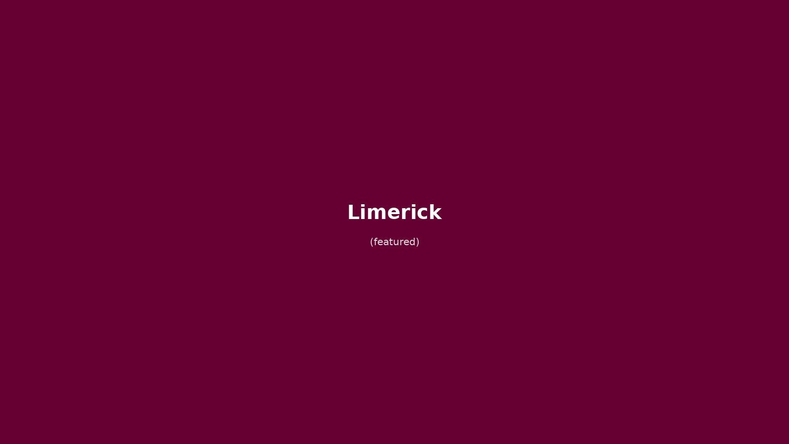 Limerick in solitaria: arrivo in treno da Dublino, castello medievale e fiume Shannon — guida senza auto