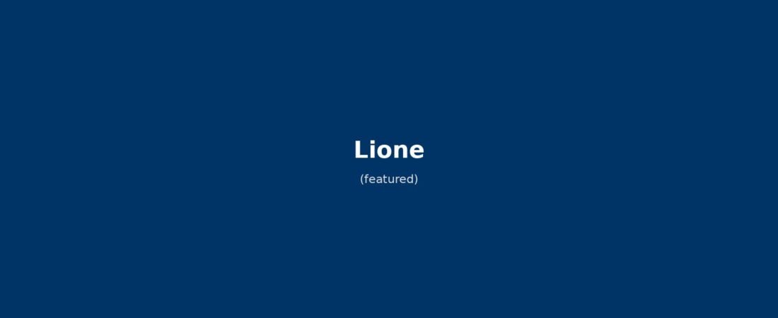 Lione in solitaria: guida completa senza auto tra traboules, gastronomia e cultura