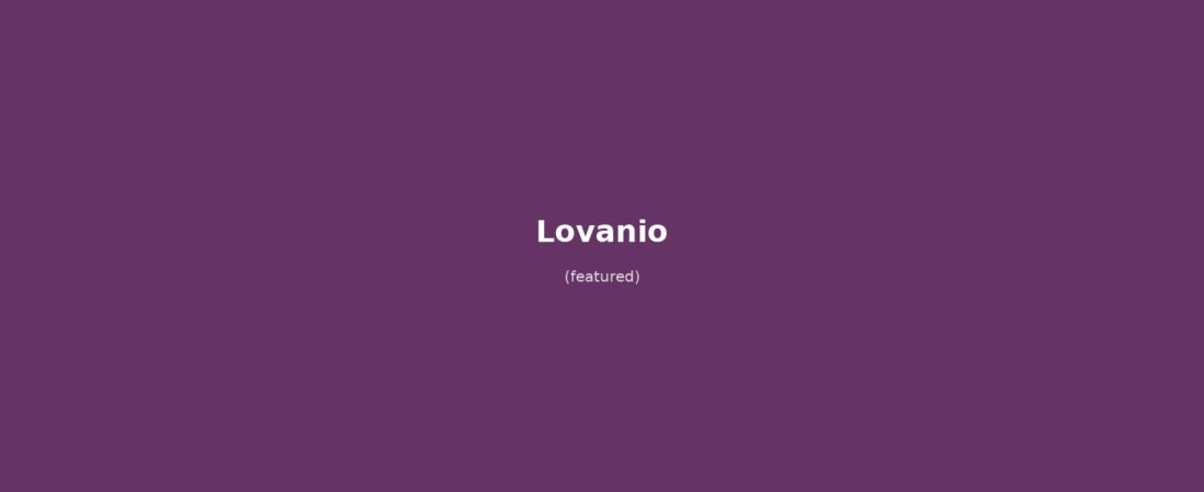 Lovanio in solitaria: arrivo in treno, Oude Markt, Municipio gotico e birra Stella Artois — guida senza auto