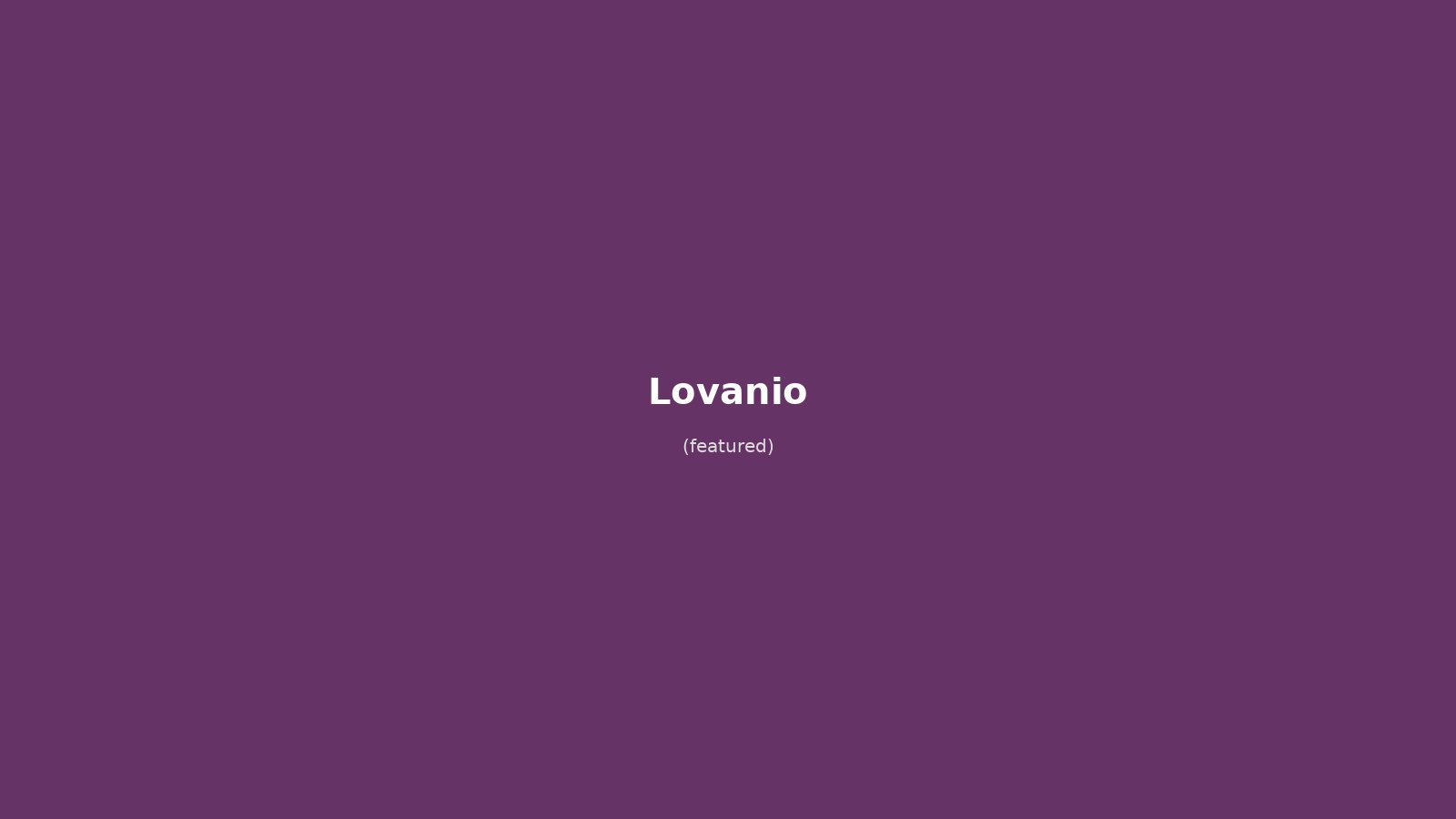 Lovanio in solitaria: arrivo in treno, Oude Markt, Municipio gotico e birra Stella Artois — guida senza auto