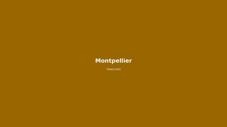 Montpellier in solitaria: arrivo in treno Gare Saint-Roch, Place de la Comédie, Musée Fabre, Écusson e vino Languedoc — guida senza auto