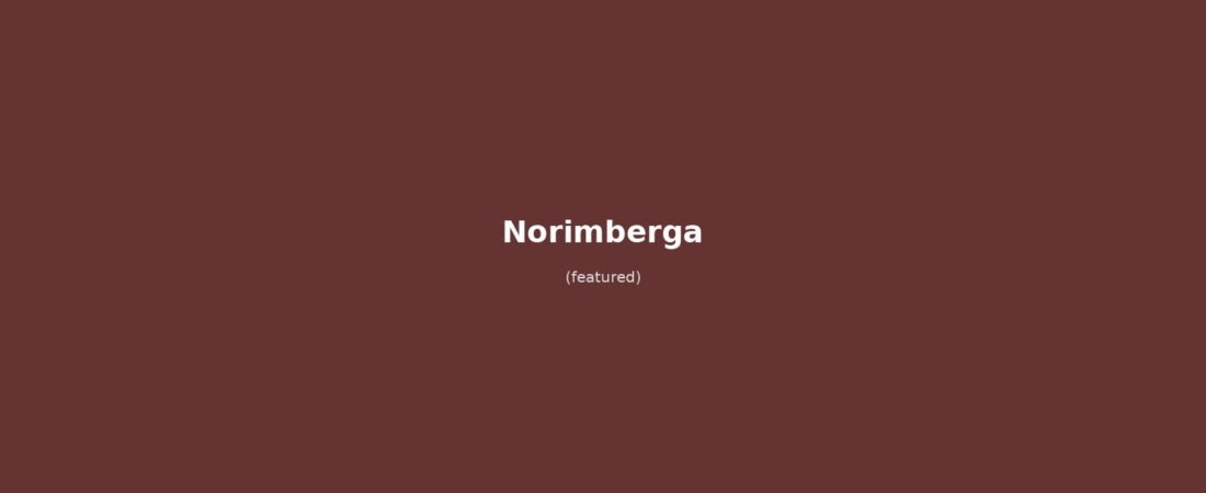 Norimberga in solitaria: guida senza auto tra castello, Hauptmarkt e salsicce Nürnberger