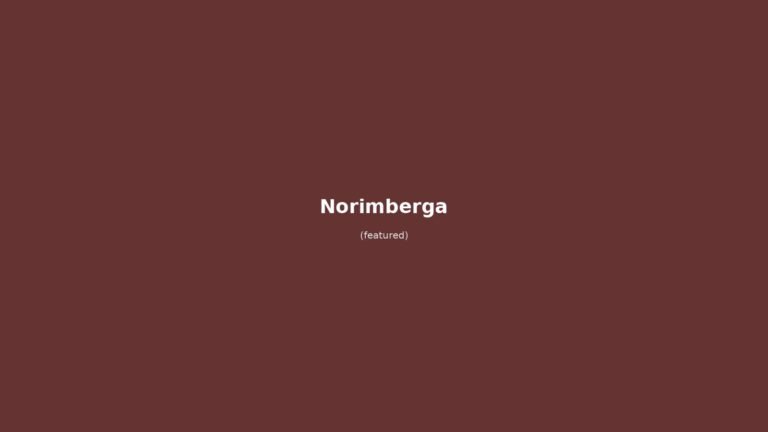 Norimberga in solitaria: guida senza auto tra castello, Hauptmarkt e salsicce Nürnberger