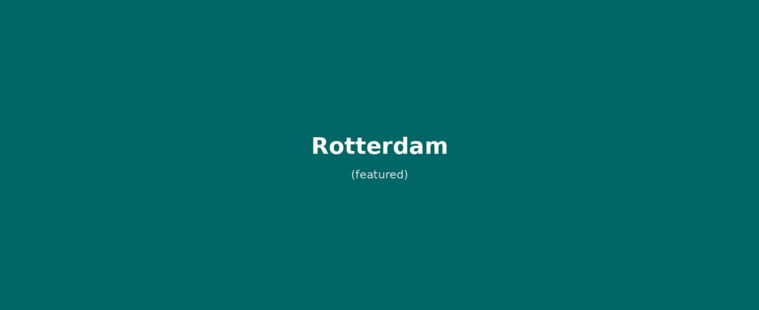Rotterdam in solitaria: guida completa alla città olandese moderna tra Markthal, Erasmusbrug e street art