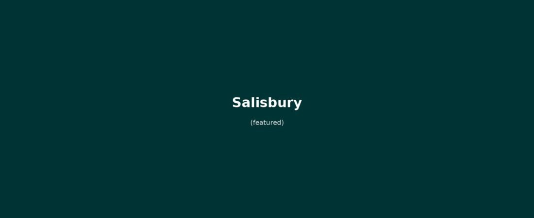Salisbury in solitaria: arrivo in treno, Cattedrale gotica, Stonehenge e Old Sarum — guida senza auto