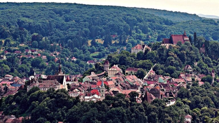 Sighisoara in solitaria: cittadella, stazione e gite senza auto