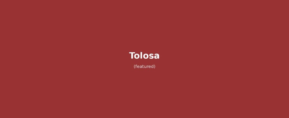 Tolosa in solitaria: guida completa alla Ville Rose tra spazio, cassoulet e Canal du Midi