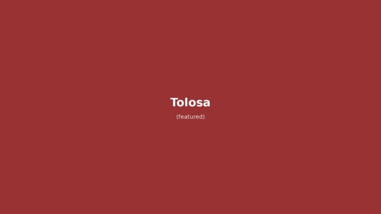 Tolosa in solitaria: guida completa alla Ville Rose tra spazio, cassoulet e Canal du Midi