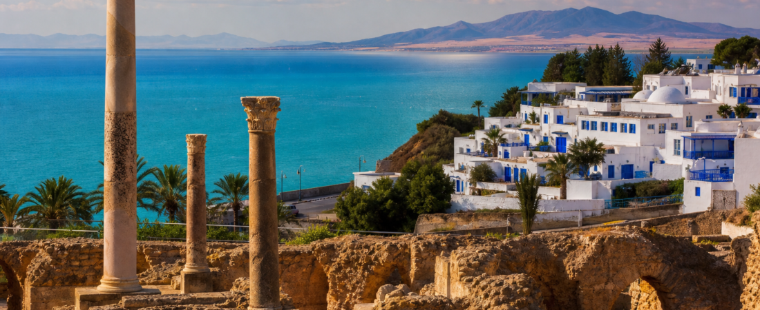 Itinerario a Tunisi: Cartagine, Sidi Bou Said e deserto