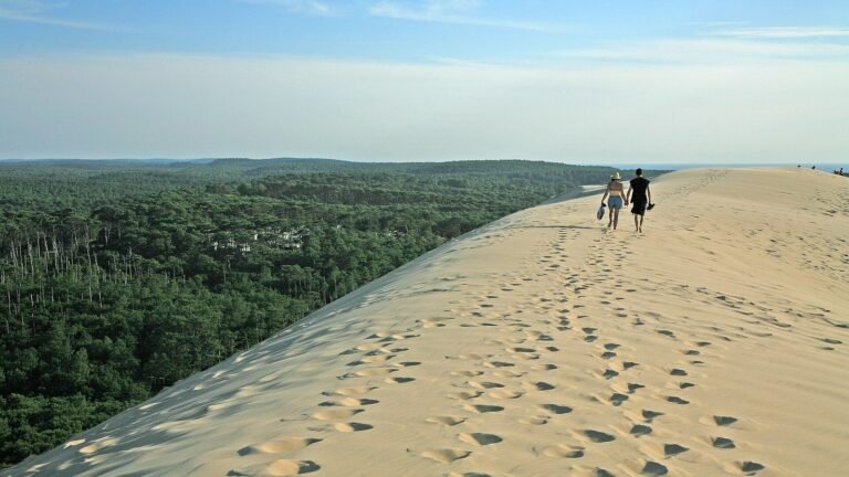 Arcachon in solitaria: la Duna di Pilat e le ostriche del Bassin