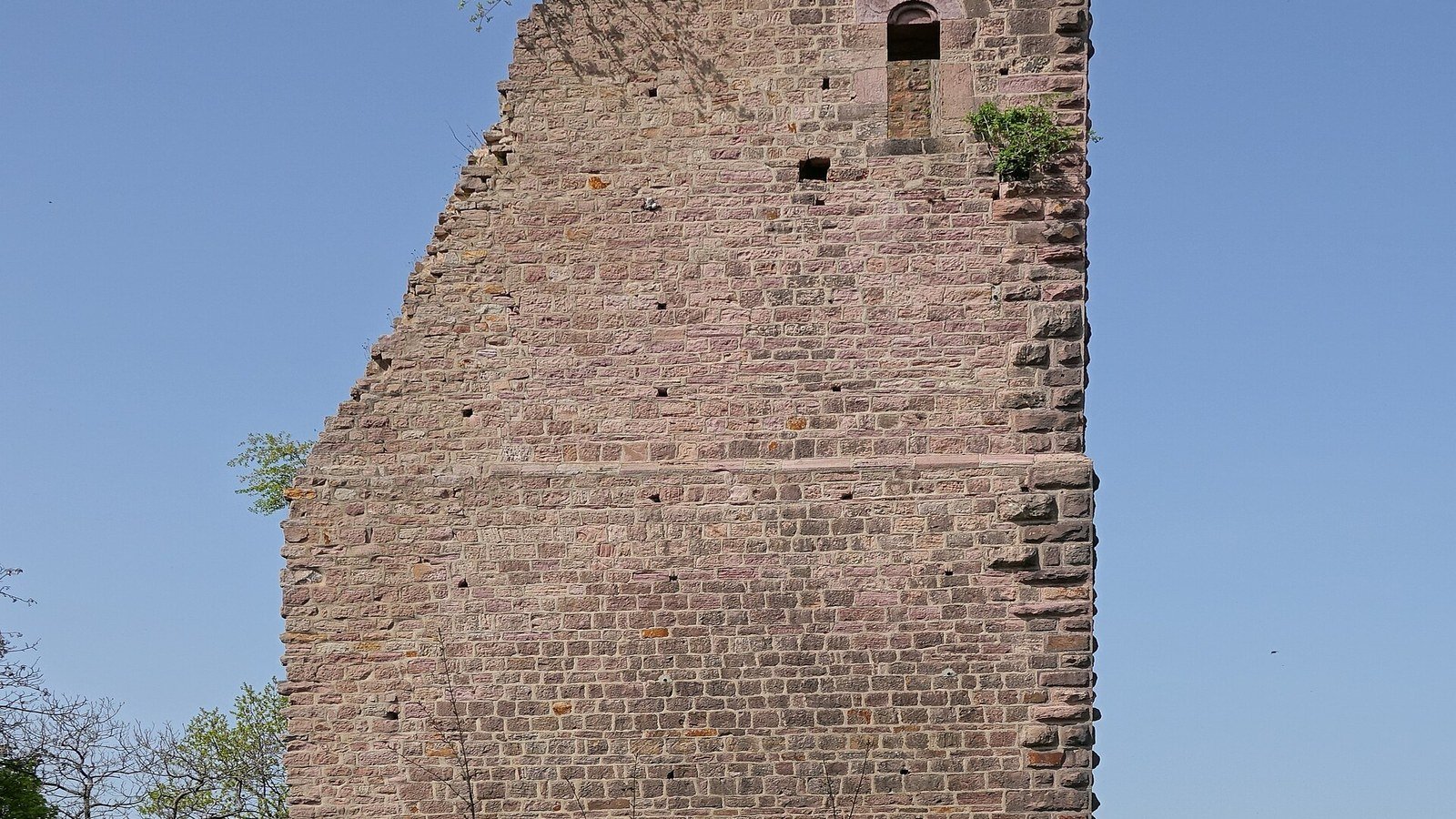 Ruins of the three medieval castles of Eguisheim perched on the vineyard hill above the village