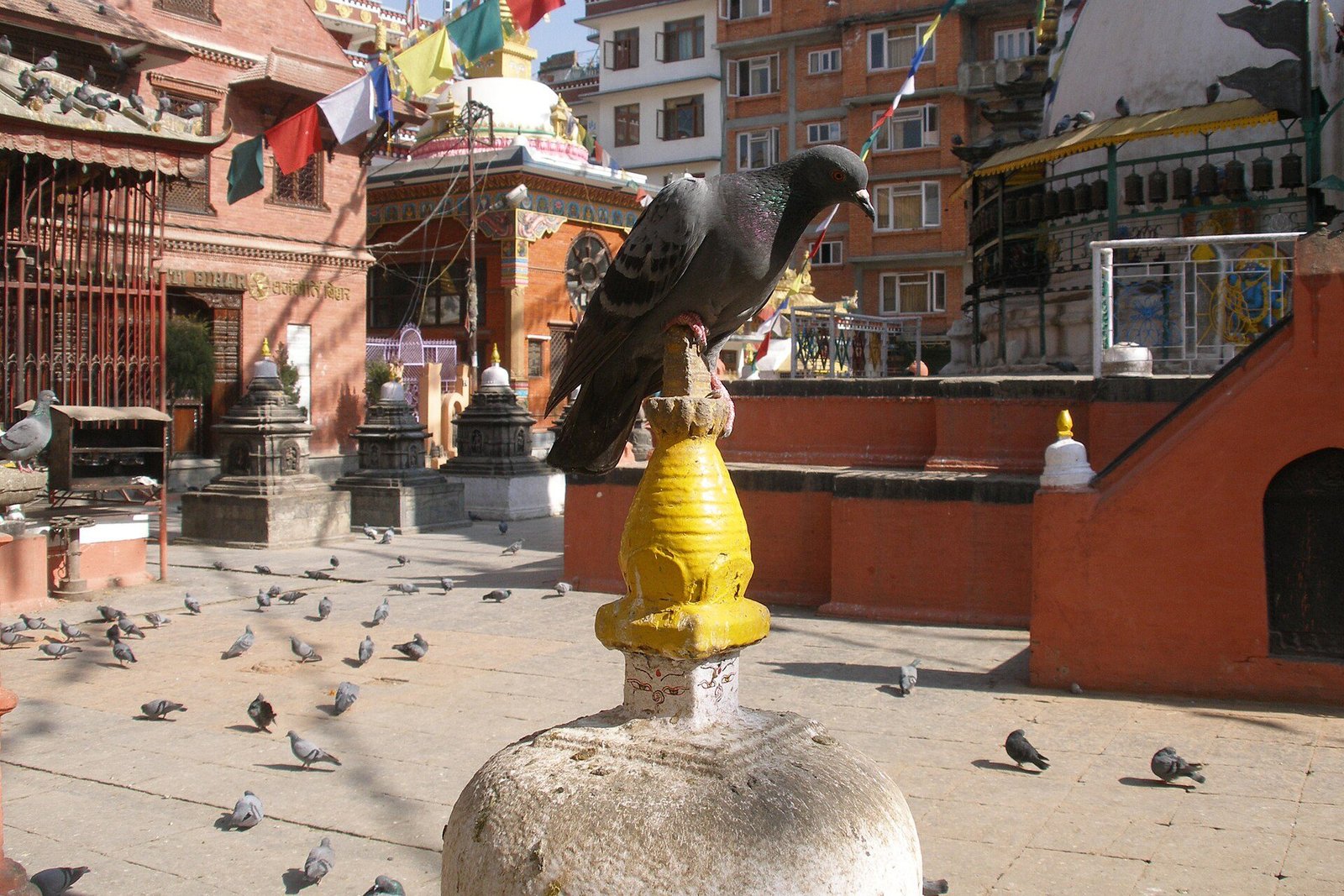 Viaggiare con bambini a Kathmandu: Guida Completa per Famiglie
