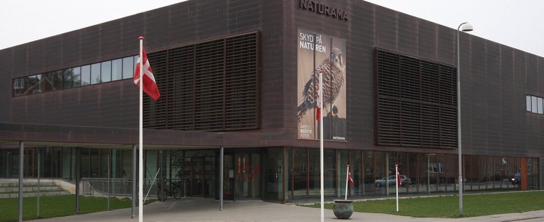 Svendborg in solitaria: guida tra porto, isole e musei