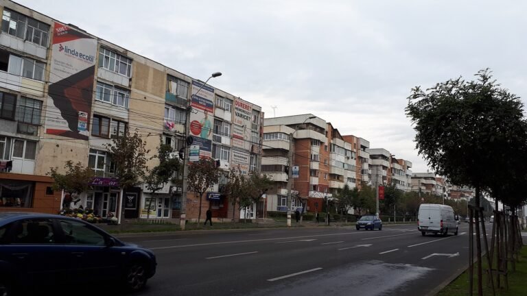 Bacău in solitaria: guida completa