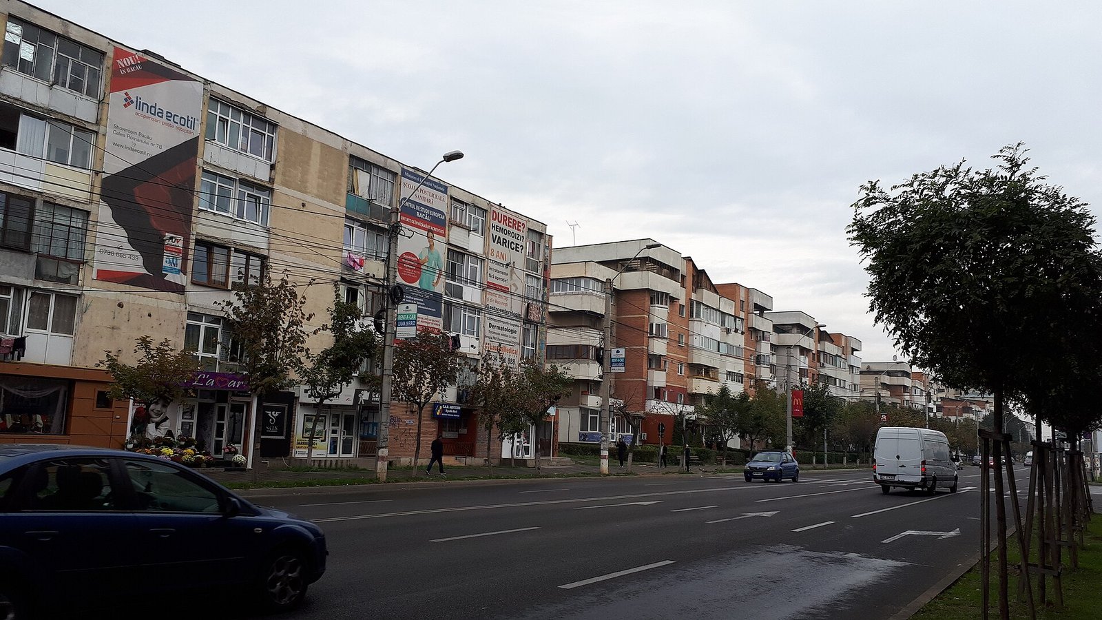 Bacău in solitaria: guida completa