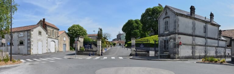 Cognac in solitaria: guida completa