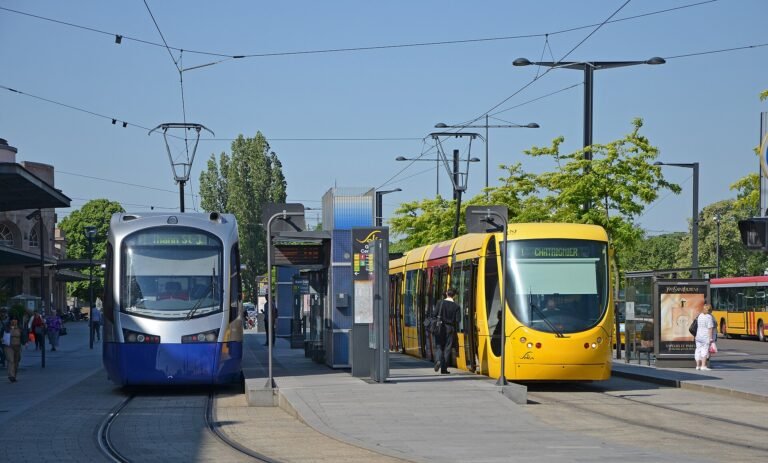 Mulhouse in solitaria: guida completa
