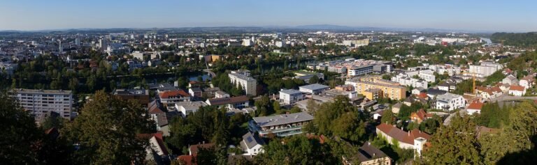 Wels in solitaria: guida completa