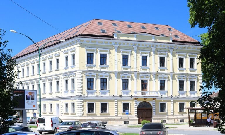 Caransebeș in solitaria: guida completa