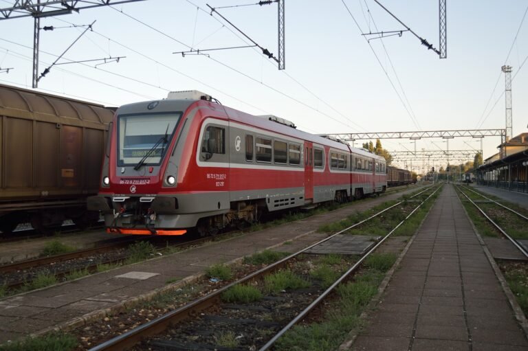 Subotica in solitaria: guida completa