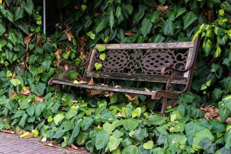 Apeldoorn in solitaria: guida completa